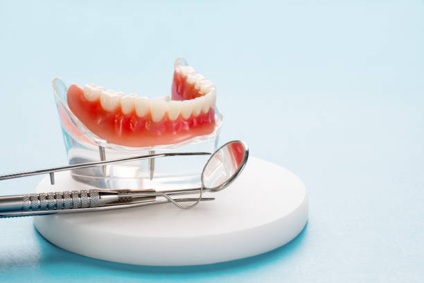 Best General Dentistry  in Trenton, MI